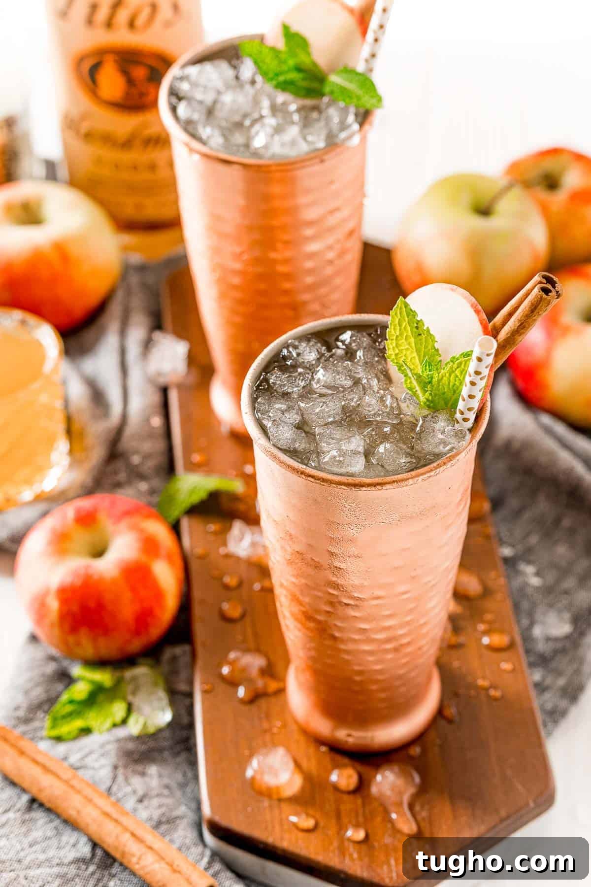 This apple cider Moscow mule puts a fall spin on a classic cocktail! Served in a copper mug, garnished with a cinnamon stick and apple slice. Apple cider moscow mule with nugget ice, garnished with apple, mint leaves, and a cinnamon stick.