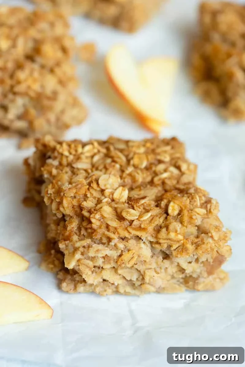 Homemade Applesauce Oatmeal Bars Recipe 2 Applesauce Oatmeal Bars on a piece of white parchment paper with apple slices around them.