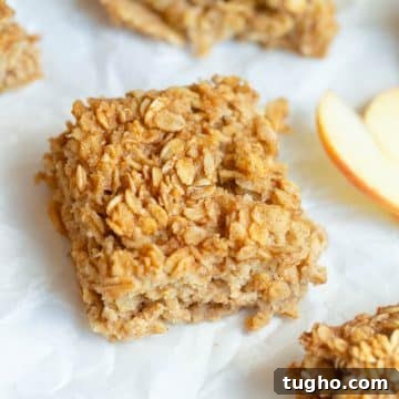Applesauce Oatmeal Bars
