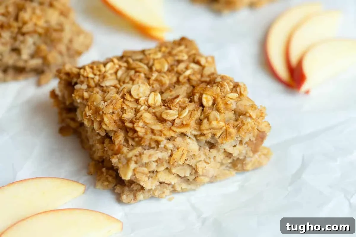 Homemade Applesauce Oatmeal Bars Recipe 6 Applesauce Oatmeal Bars on a piece of white parchment paper with apple slices around them.
