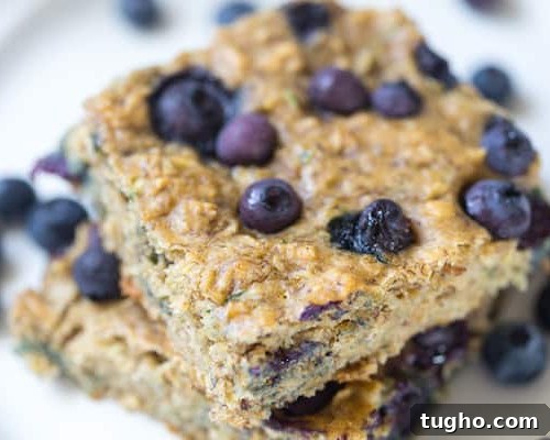 Homemade Applesauce Oatmeal Bars Recipe 7 Blueberry Zucchini Oat Bars