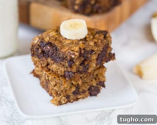 Homemade Applesauce Oatmeal Bars Recipe 8 Dark Chocolate Banana Oat Bars