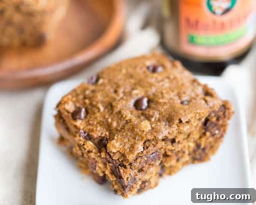 Homemade Applesauce Oatmeal Bars Recipe 9 Chocolate Chip Gingerbread Oat Bars