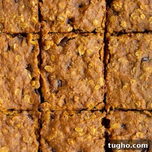 Homemade Applesauce Oatmeal Bars Recipe 10 Pumpkin Chocolate Chip Oat Bars