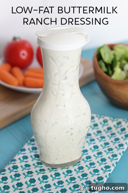 Creamy Homemade Low-Fat Buttermilk Ranch Dressing 7 Low-Fat Buttermilk Ranch Dressing