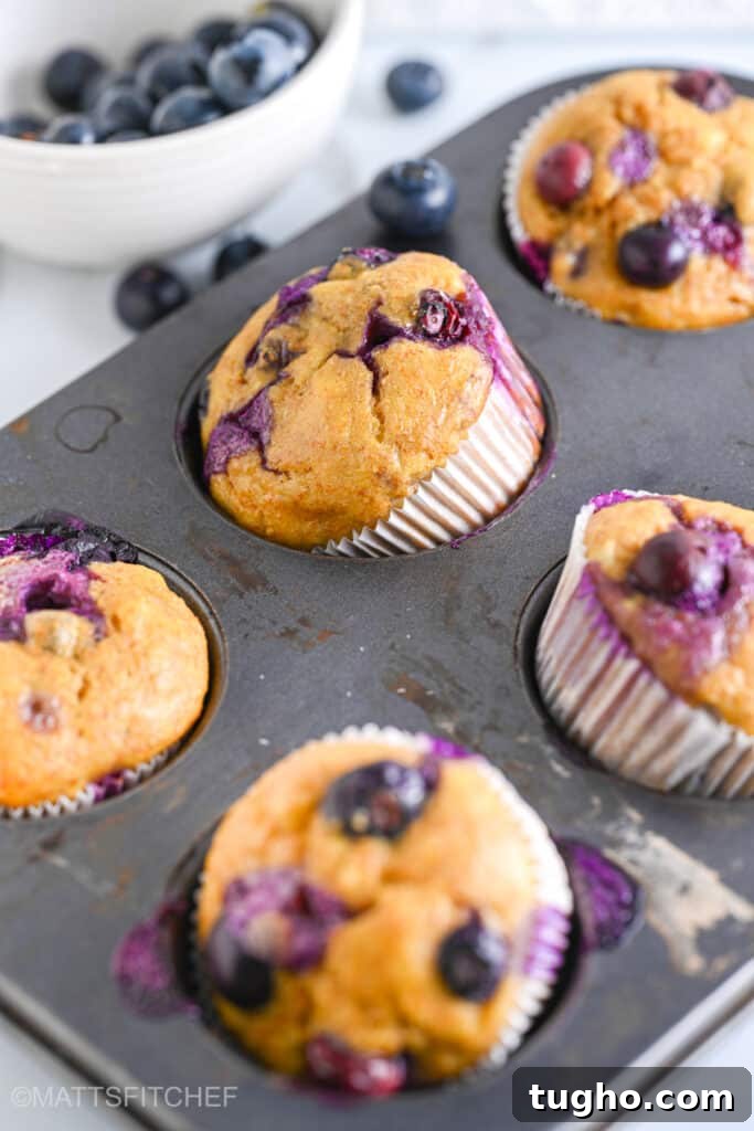 Moist Blueberry Muffins with Cottage Cheese 2 Close up of high protein cottage cheese muffins with juicy blueberries, bursting with flavors and juiciness.