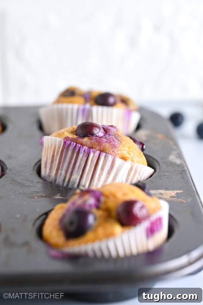 Moist Blueberry Muffins with Cottage Cheese 8 Cottage Cheese Blueberry Muffins in Muffin Tins, shown from the front.