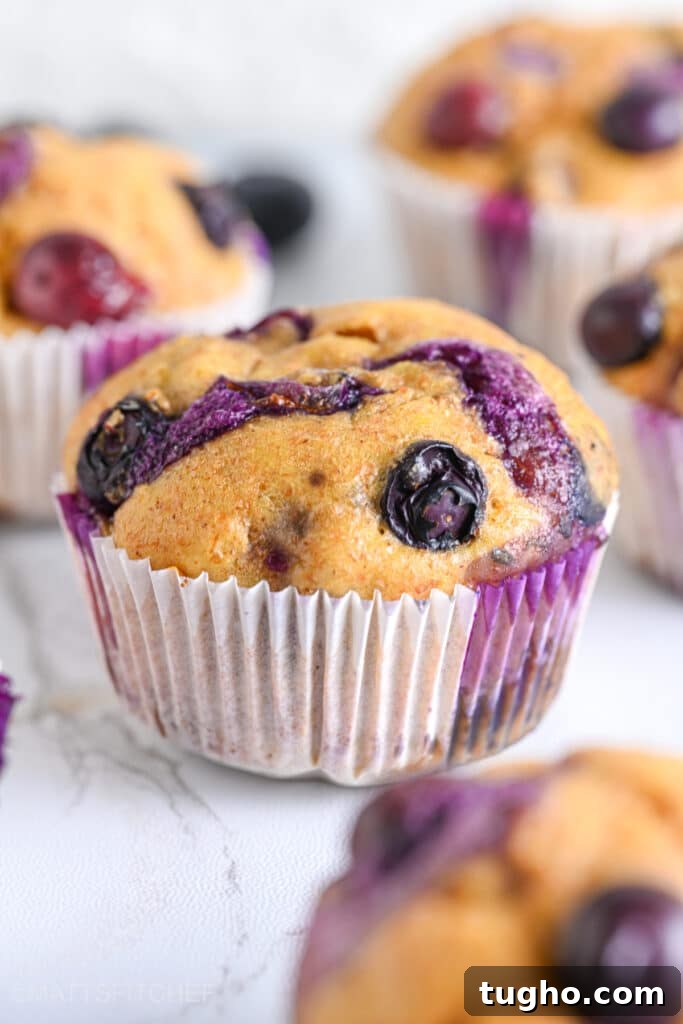 Moist Blueberry Muffins with Cottage Cheese 9 High protein cottage cheese muffin with blueberries in the foreground, surrounded by moist muffins in the background. The picture highlights the juiciness and moisture of fresh blueberries.