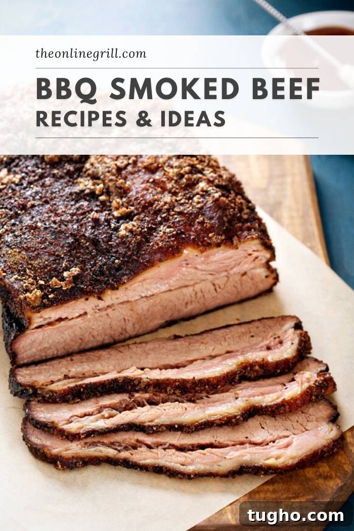 best bbq smoked beef recipes ideas