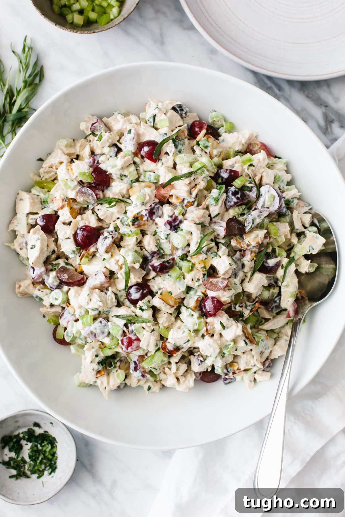 40+ Fresh and Flavorful Salad Recipes 3 Chicken salad in a white bowl with spoon.