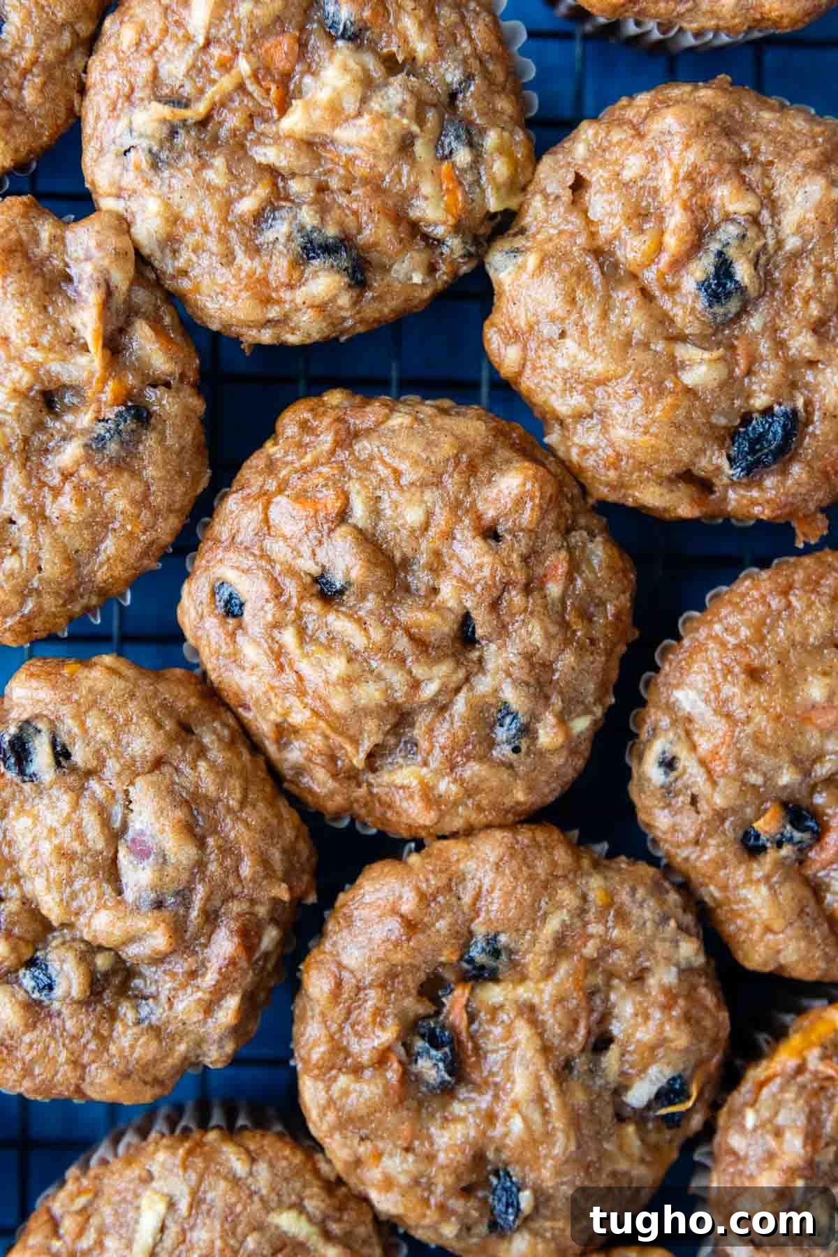 Gluten-Free Morning Glory Muffins: Moist One-Bowl Recipe 2 overhead shot of muffin tops close together.