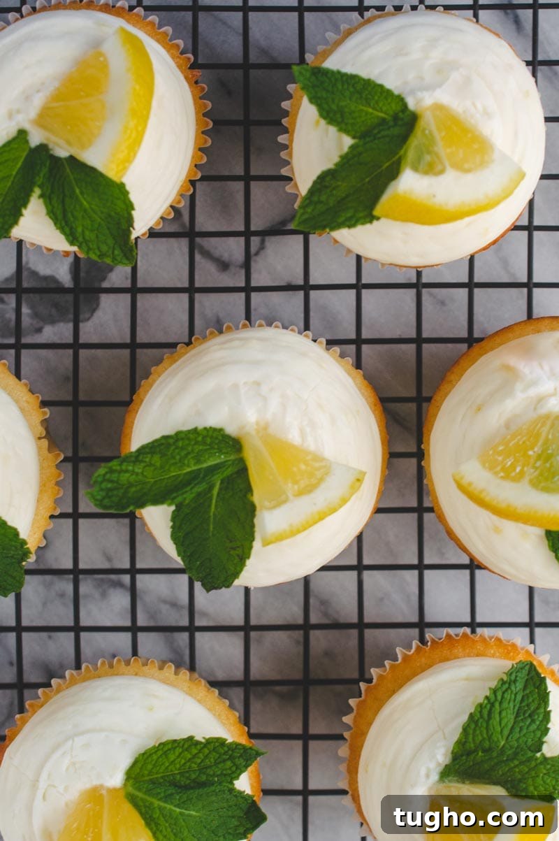 Fresh Lemon Cupcakes with Lemon Cream Cheese Frosting