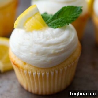 Lemon Cupcakes with Lemon Cream Cheese Frosting 7 Fresh Lemon Cupcakes with Lemon Cream Cheese Frosting