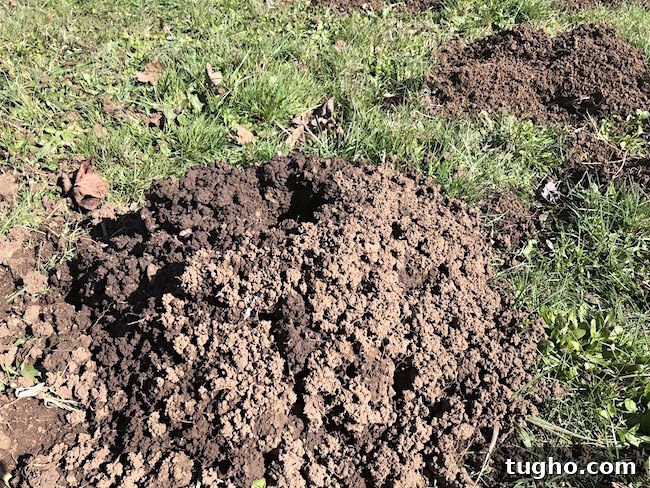 gopher hills