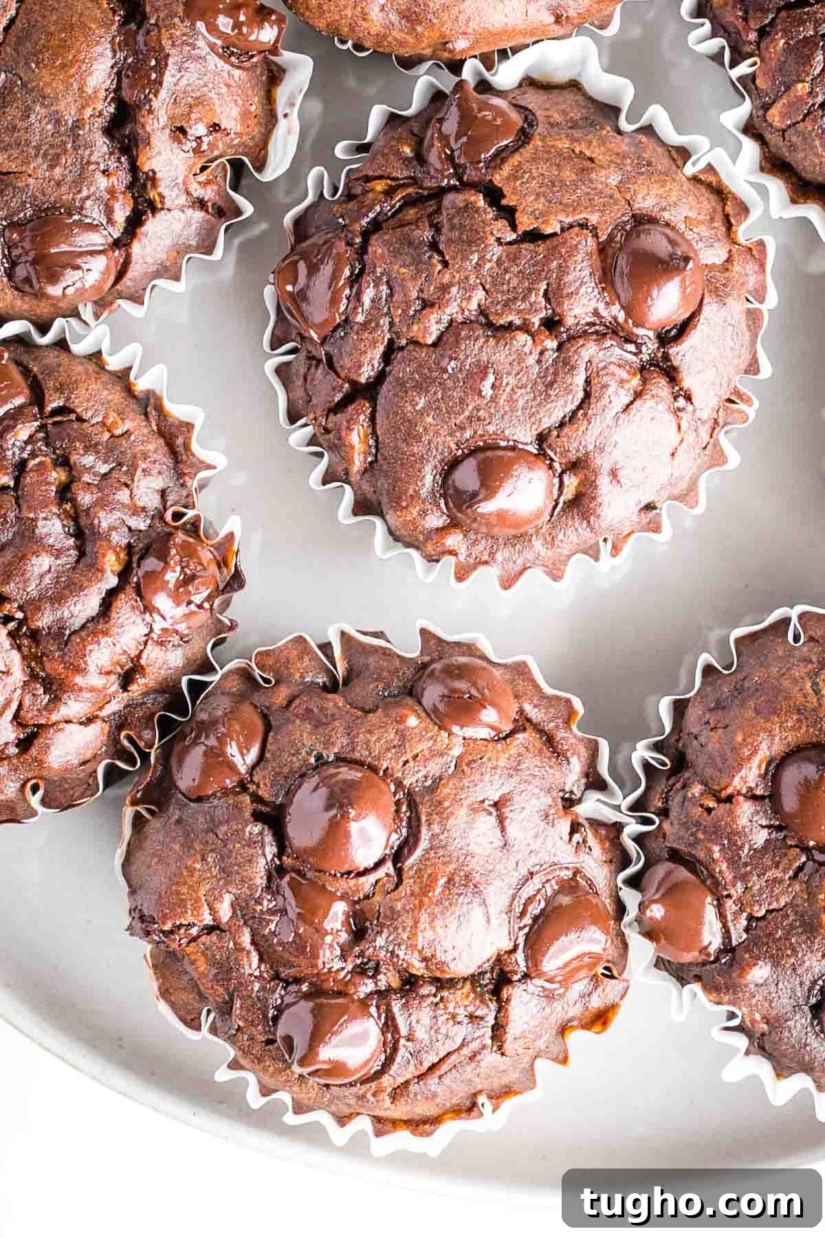 Fudgy Double Chocolate Zucchini Muffins Recipe 12 img 4308 12