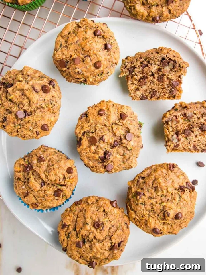 White rimmed plate filled with chocolate chip zucchini muffins.