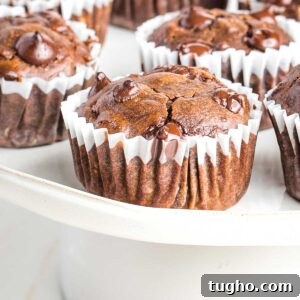 Fudgy Double Chocolate Zucchini Muffins Recipe 17 Chocolate muffin with chocolate chips in a white cupcake liner.