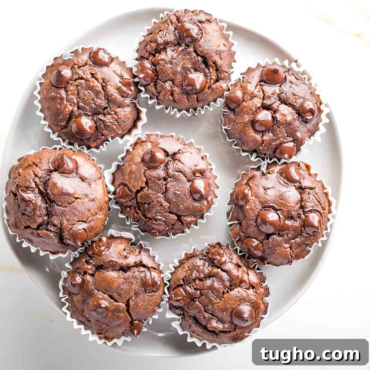 Fudgy Double Chocolate Zucchini Muffins Recipe 3 Plate of chocolate muffins with chocolate chips.