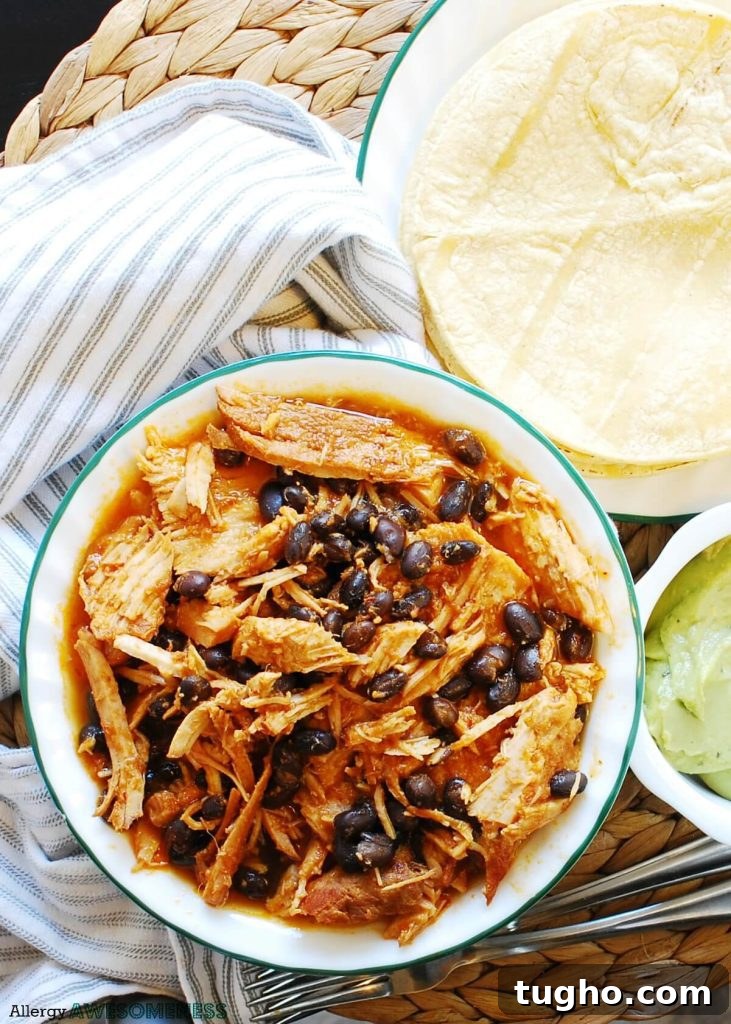 7 Allergy-Friendly Freezer Meals for a Week of Dinners 4 Slow Cooker Pork Taco