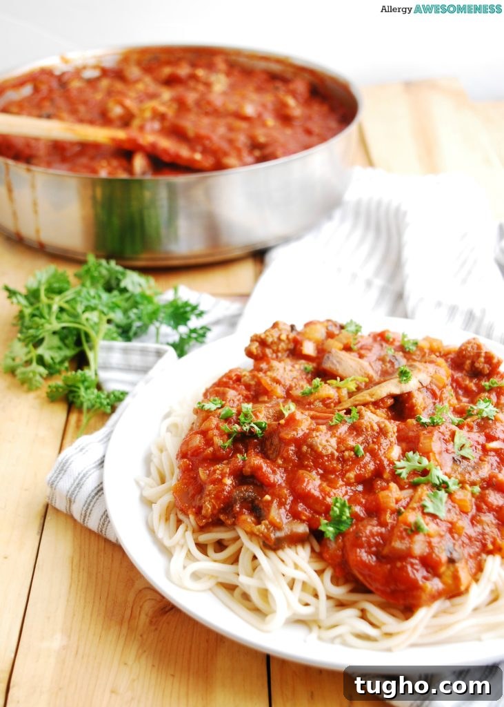 7 Allergy-Friendly Freezer Meals for a Week of Dinners 5 The BEST Ragu Sauce Recipe by Allergy Awesomeness