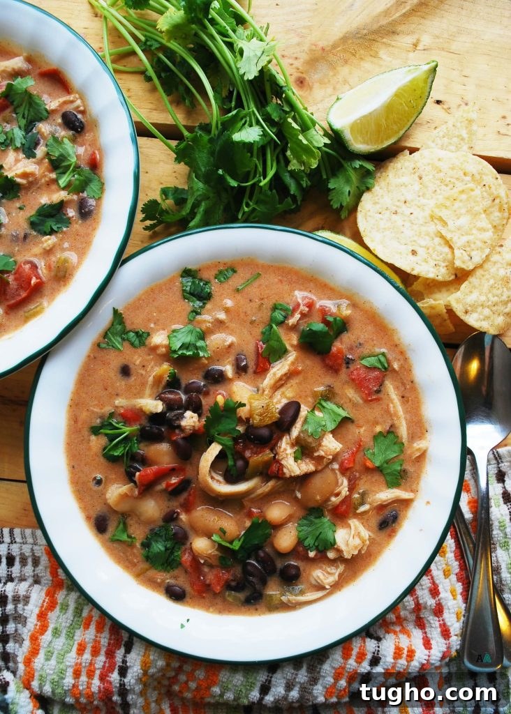 7 Allergy-Friendly Freezer Meals for a Week of Dinners 9 Slow Cooker Green Chile Enchilada Soup (Gluten, dairy, egg, peanut & tree nut free) Soup recipe by AllergyAwesomeness