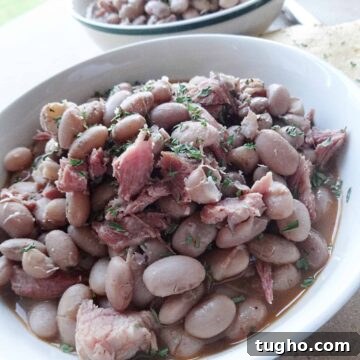 Slow Cooker Pinto Beans and Ham Recipe 2 Pinto Beans and Ham Hock