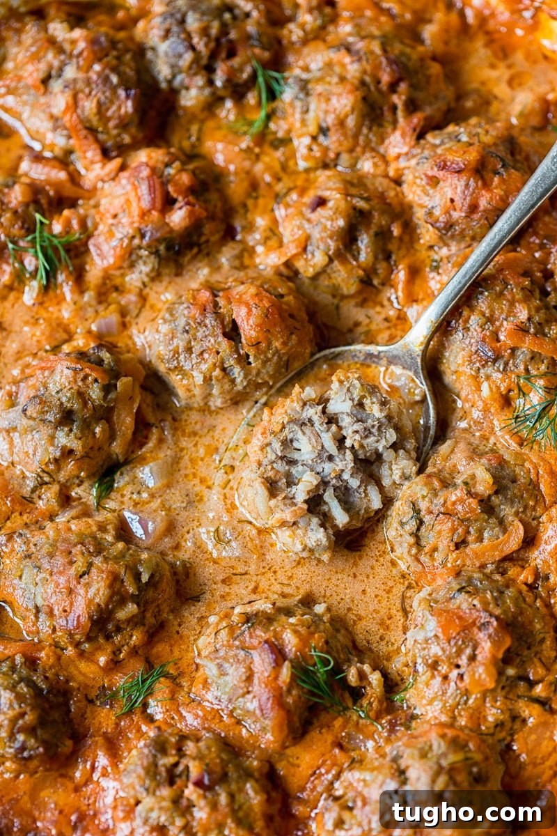 Porcupine Meatballs (Tefteli) in Creamy Tomato Sauce Recipe 6 close up of porcupine meatballs with one meatball on a spoon