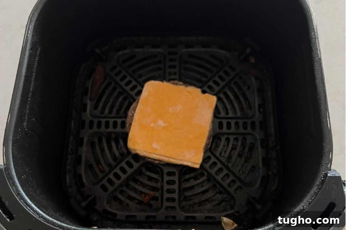 How to Cook Jimmy Dean Breakfast Sandwiches in Air Fryer 4 Frozen patty with cheese in air fryer.