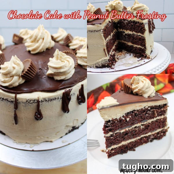 Rich Chocolate Cake with Peanut Butter Frosting 8 img 45064 10