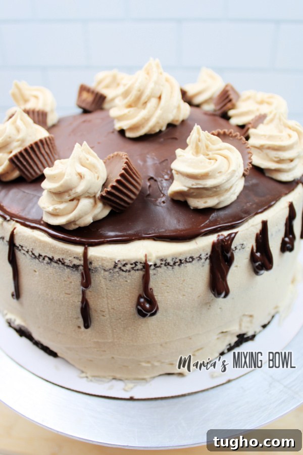 Rich Chocolate Cake with Peanut Butter Frosting 3 Unsliced chocolate cake with peanut butter frosting on cake stand