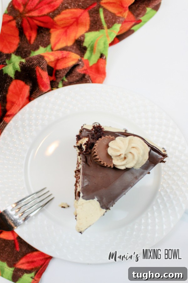 Rich Chocolate Cake with Peanut Butter Frosting 7 Overhead shot of chocolate cake with peanut butter frosting on white plate