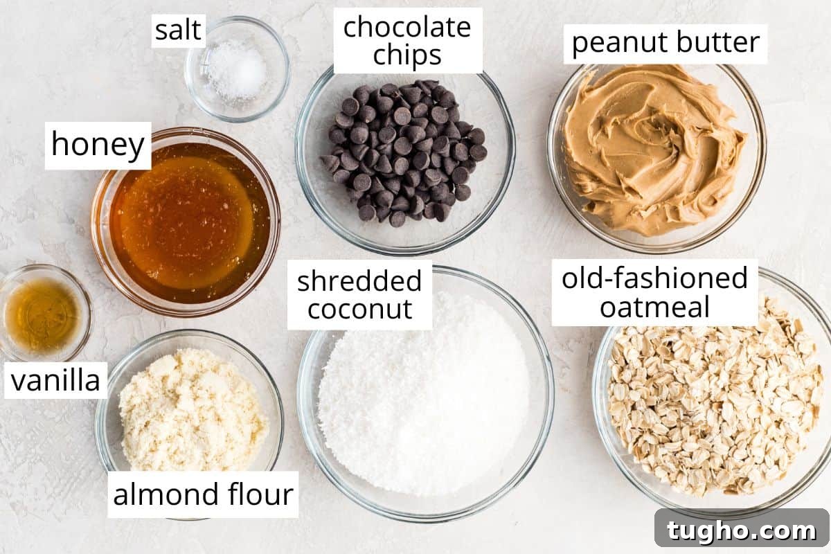Chewy No-Bake Oatmeal Bars Recipe 4 overhead photo of the labeled ingredients in this No Bake Oatmeal Bars recipe