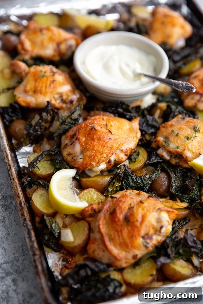 Crispy Sheet Pan Roasted Chicken with Vegetables 2 Close up of crispy sheet pan chicken and veggies with a bowl of aioli.