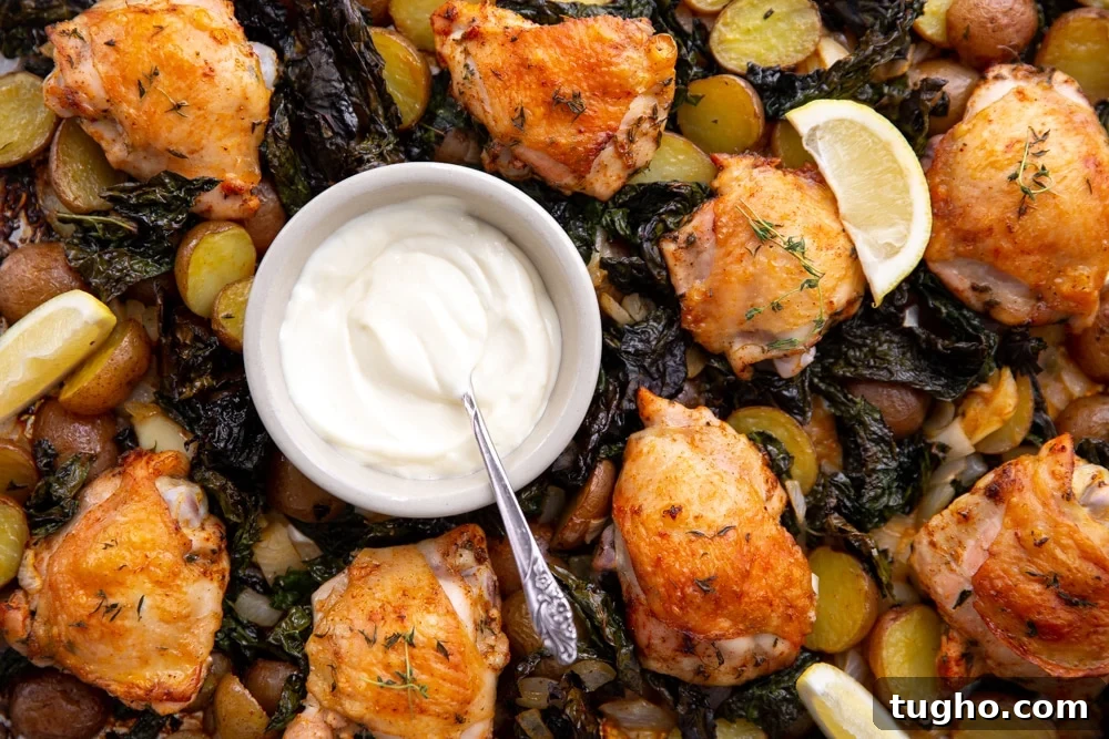 Crispy Sheet Pan Roasted Chicken with Vegetables 10 Close up of one pan roasted chicken and veggies with a bowl of aioli and lemon wedges.