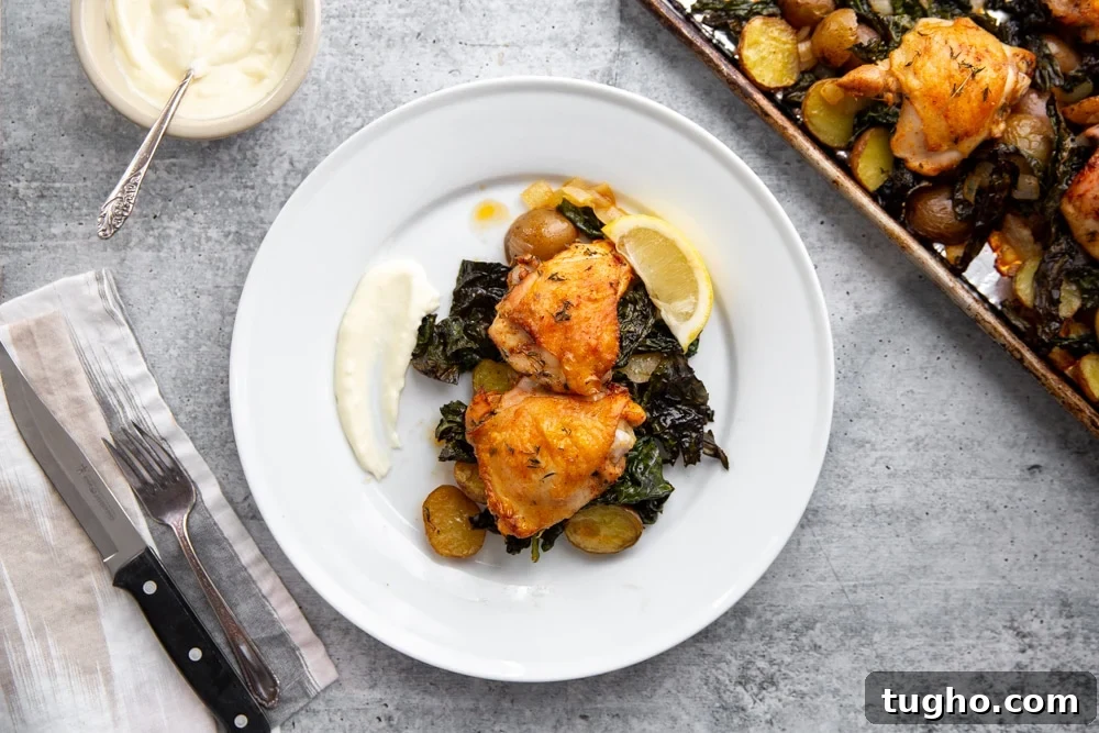 Crispy Sheet Pan Roasted Chicken with Vegetables 3 Sheet pan chicken and veggies on a plate with garlic aioli alongside.