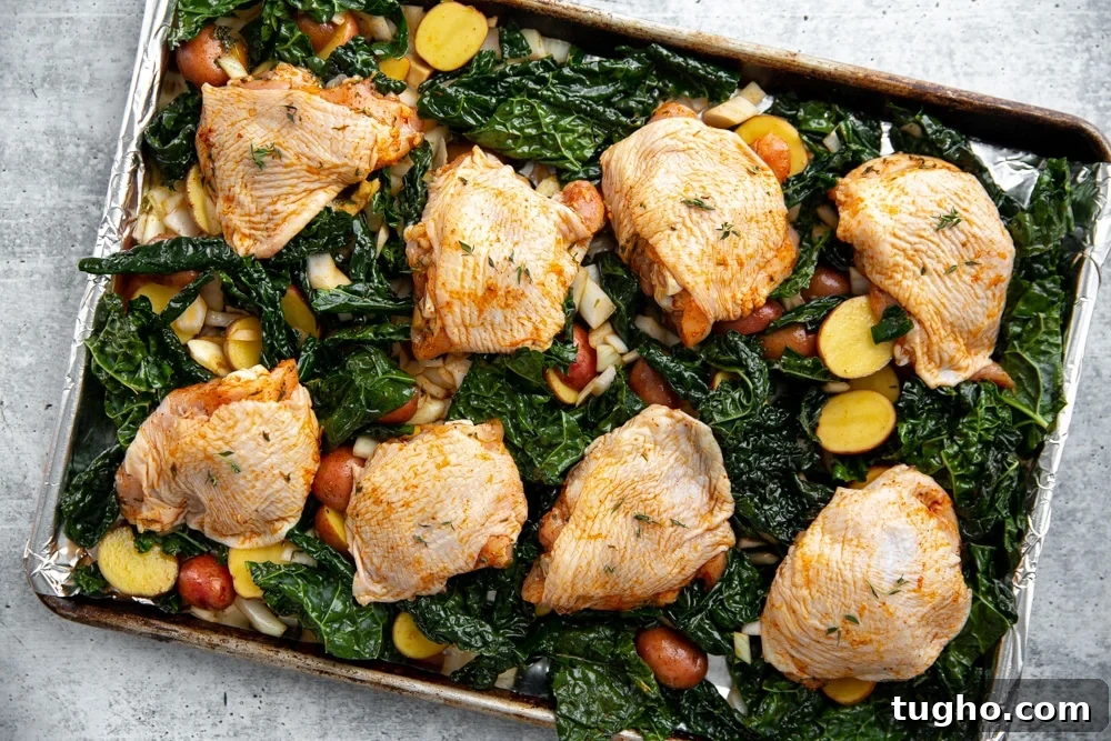 Crispy Sheet Pan Roasted Chicken with Vegetables 6 Process shot showing the uncooked chicken thighs over the bed of vegetables on a sheet pan.