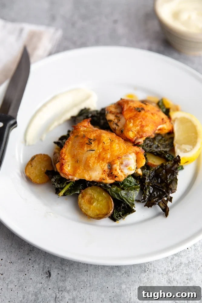 Crispy Sheet Pan Roasted Chicken with Vegetables 8 Roasted chicken thighs and vegetables on a plate with garlic aioli alongside.