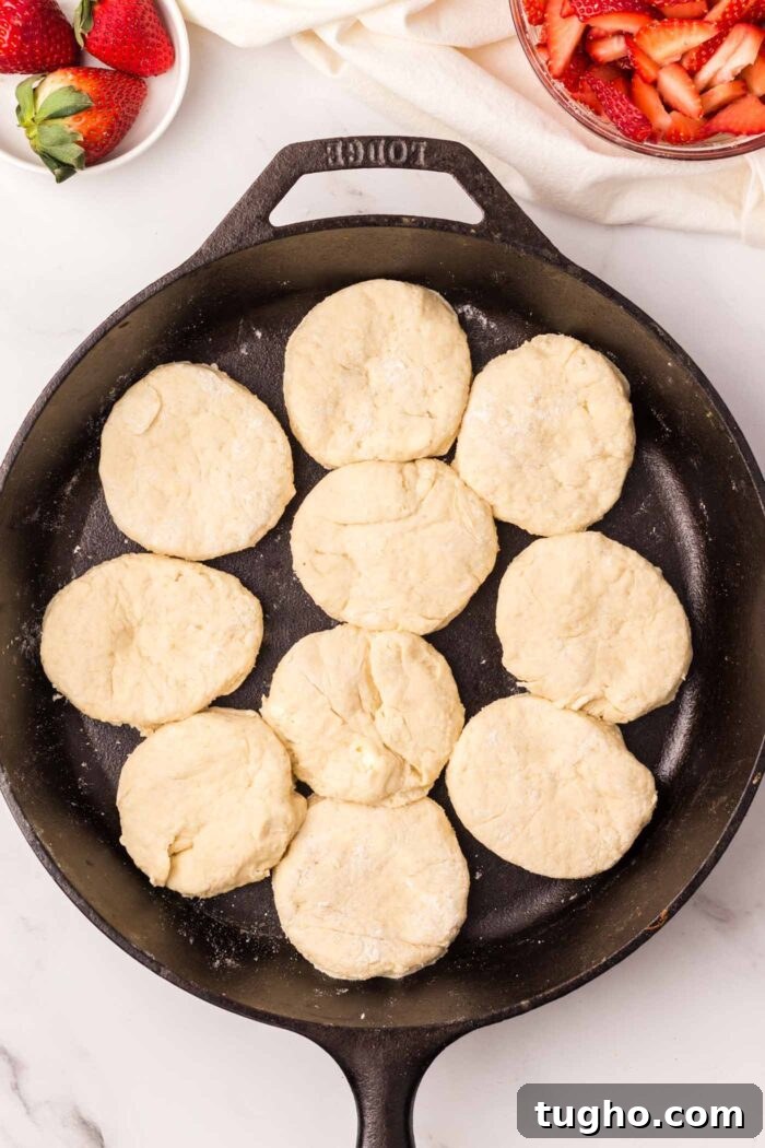 Classic Vegan Strawberry Shortcake Recipe 12 Raw biscuits in a cast iron skillet.