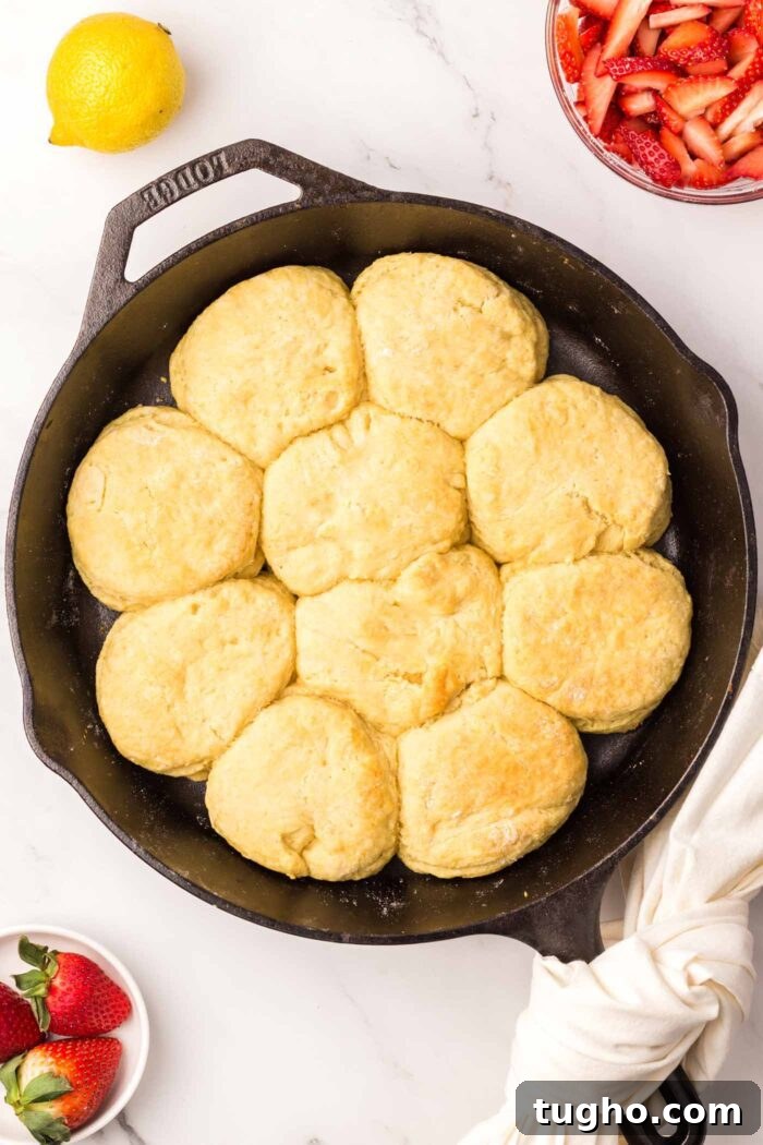 Classic Vegan Strawberry Shortcake Recipe 13 10 baked biscuits packed into a cast iron skillet.