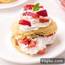 Classic Vegan Strawberry Shortcake Recipe 16 Strawberry shortcakes topped with a small piece of mint on small round plates.
