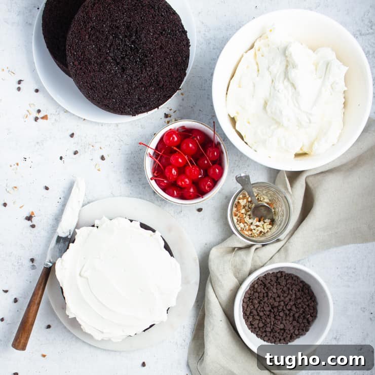 Indulgent Fudge Sundae Cake Recipe with Hot Fudge Sauce 3 flat lay photo of sliced cakes and toppings