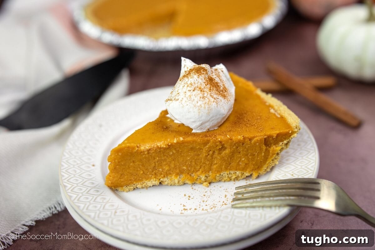 No-Bake Pumpkin Pie Recipe: Creamy Thanksgiving Dessert 8 slice of pumpkin pie on a white plate