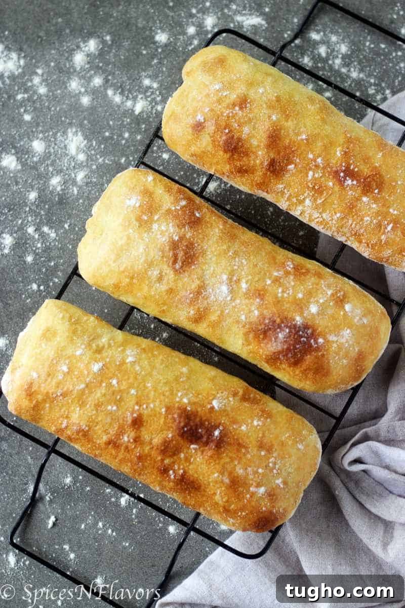How to Make Authentic Ciabatta Bread at Home 3 overview image of 3 ciabatta loaves placed on a wire rack