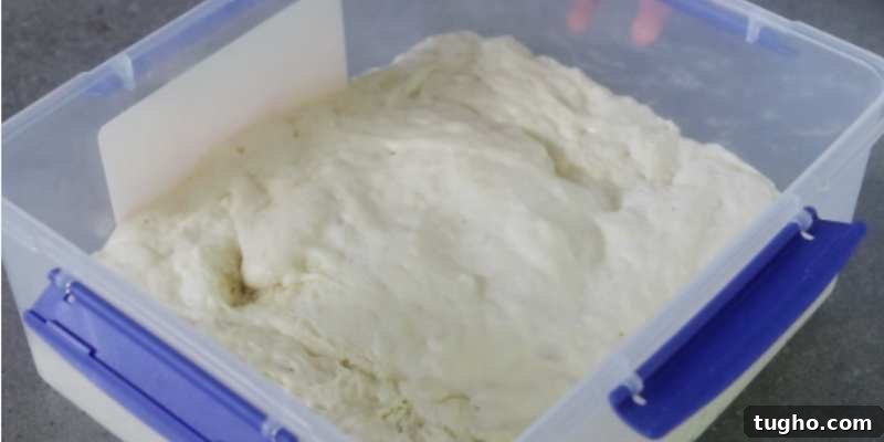 How to Make Authentic Ciabatta Bread at Home 5 bread dough after 3 hours of bulk fermentation