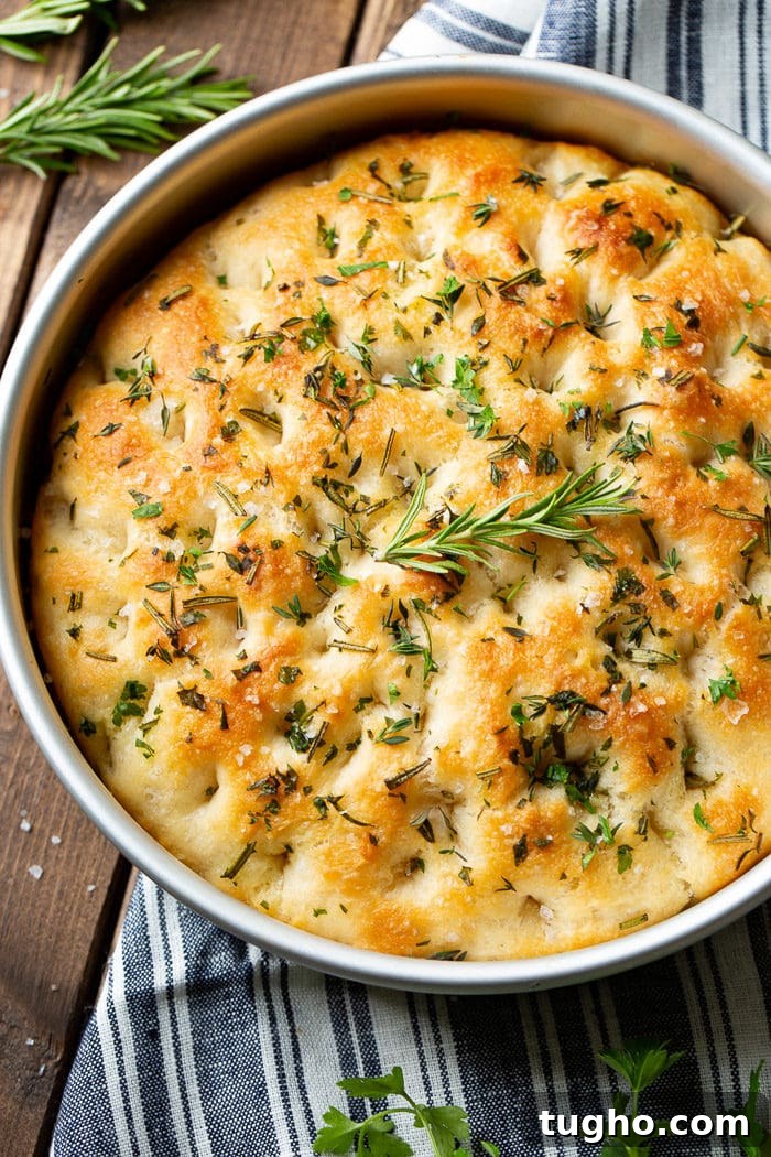 No-Knead Herbed Focaccia with Rosemary and Sea Salt 2 Round focaccia loaf topped with fresh herbs and sea salt in a silver pan