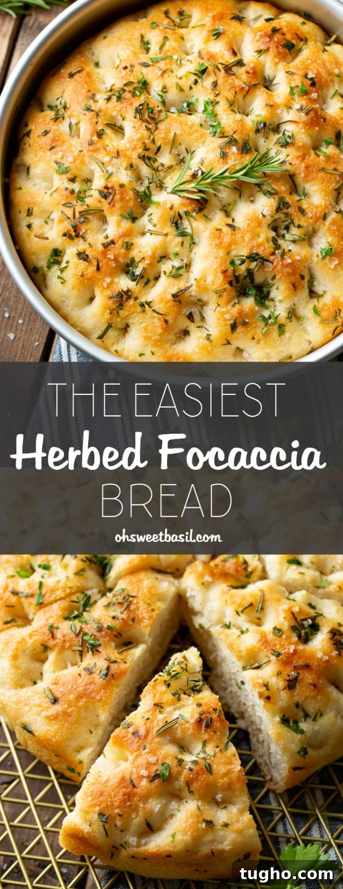 Round focaccia loaf covered in fresh herbs and dusted with salt