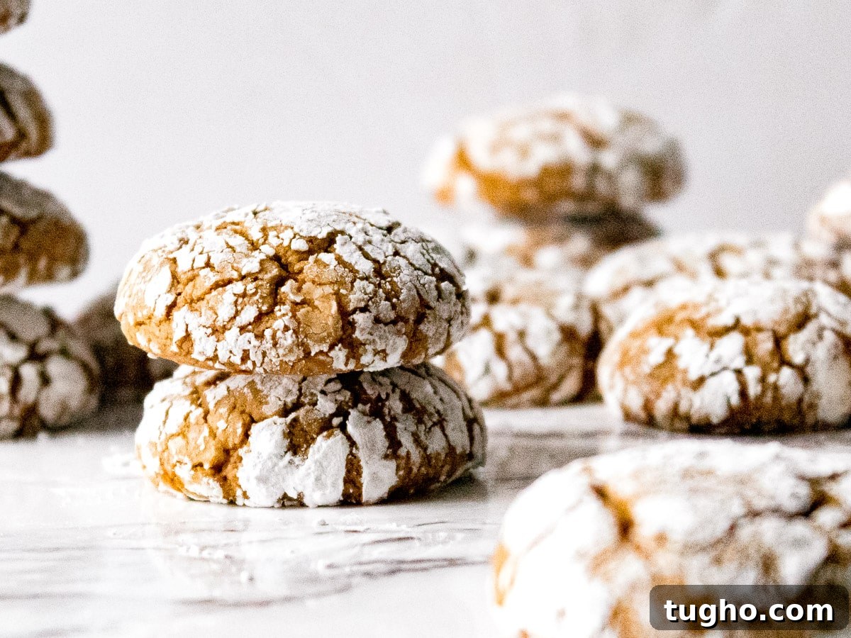 Soft Chewy Ginger Crinkle Cookies Recipe 4 gingerbread crinkle cookies stacked