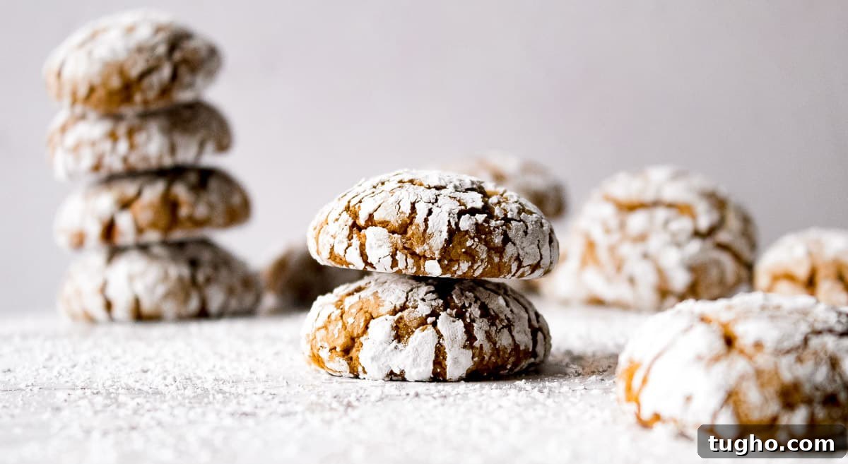 Soft Chewy Ginger Crinkle Cookies Recipe 5 Ginger Crinkle Cookies stacked