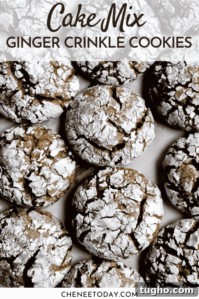 Soft Chewy Ginger Crinkle Cookies Recipe 6 pin on soft ginger cookies