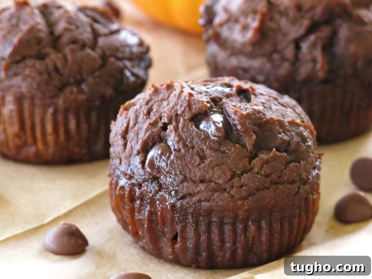 15 Make-Ahead Thanksgiving Recipes to Prep Now 16 Healthy chocolate pumpkin muffin made with Greek yogurt surrounded by other muffins and chocolate chips.